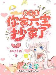 宫先生你家六宝抄家了 村姑青衣