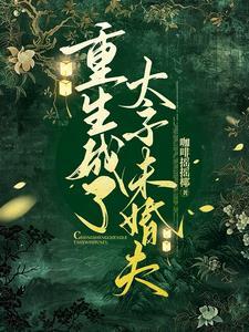 重生太子妃成宠夫成魔