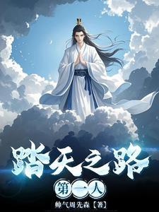 踏天境是什么