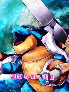 宝可梦冠军实力