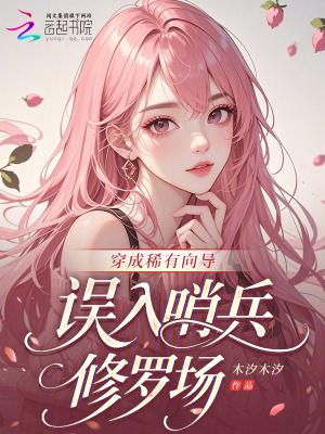 穿成稀有向导
