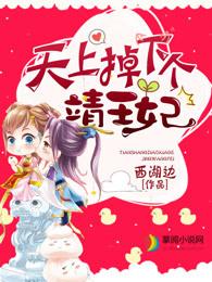 信号屏蔽器可以连wifi吗